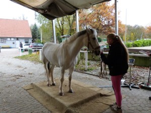 Waage (19)
